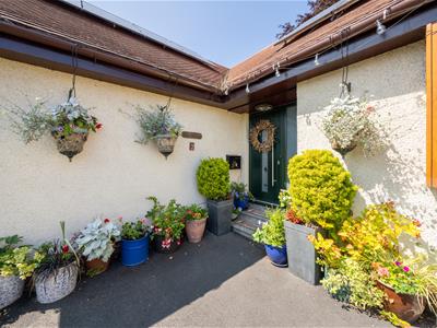 Picture 21